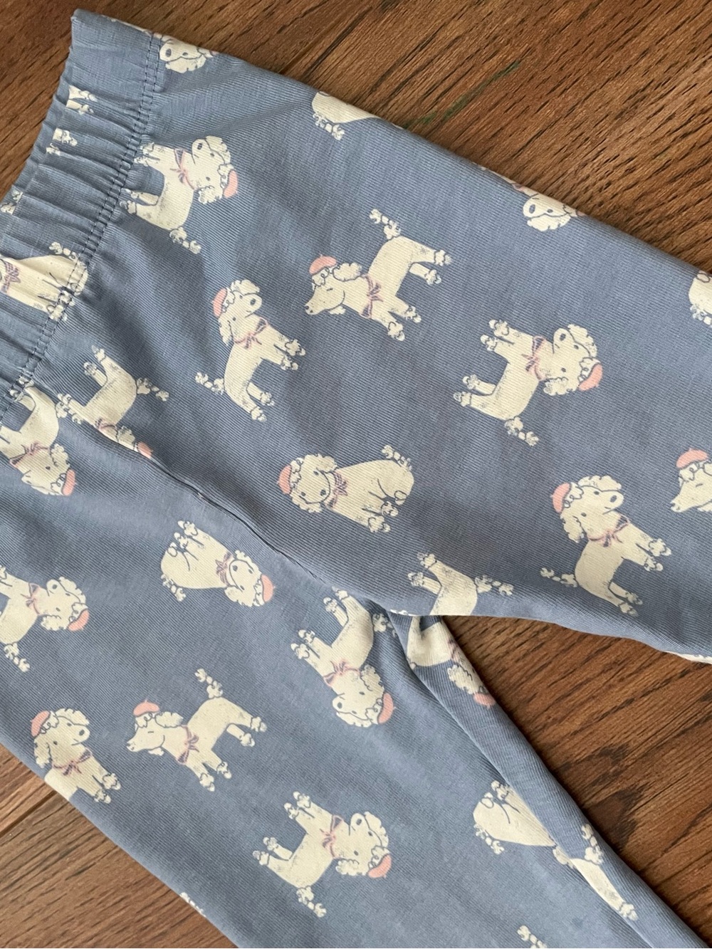 Poodle baby blue leggings